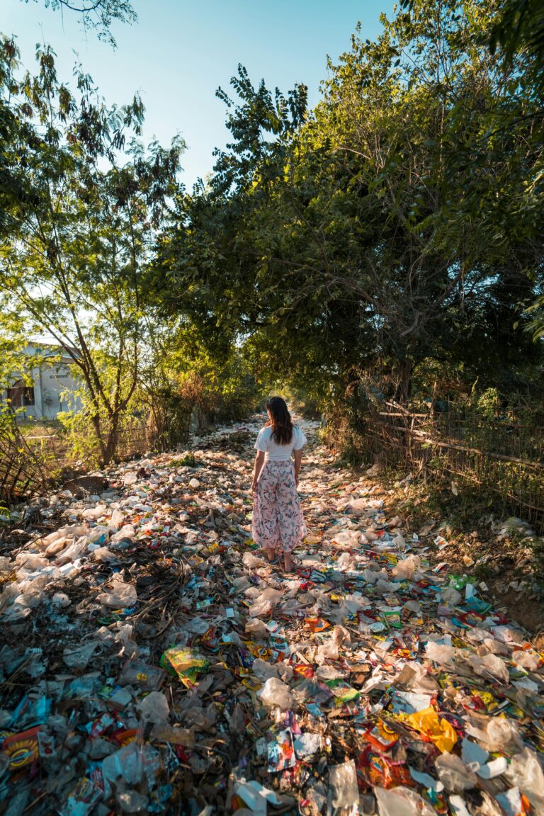 visual of overconsumption