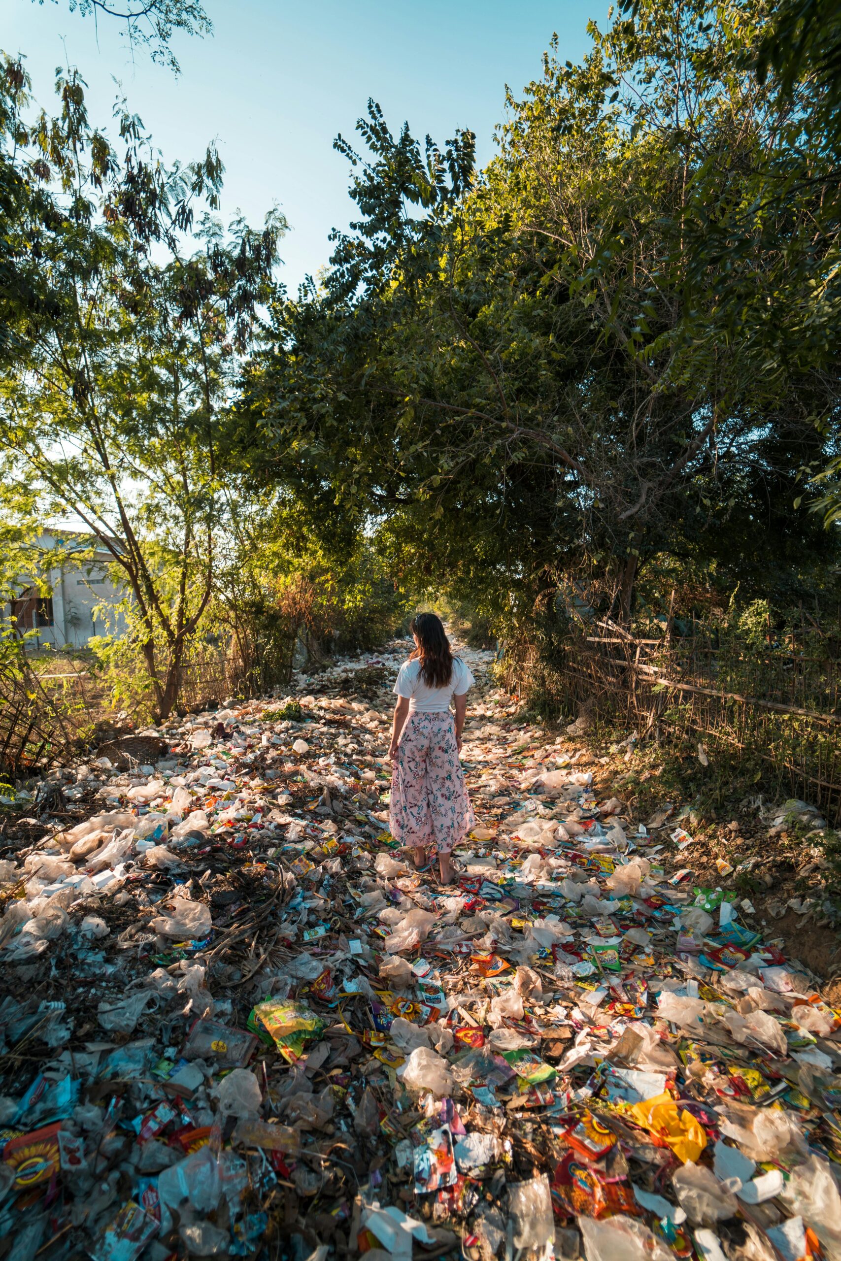 visual of overconsumption